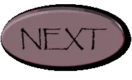 Animated GIF a button saying NEXT, implying that nextjs was already a thing back then